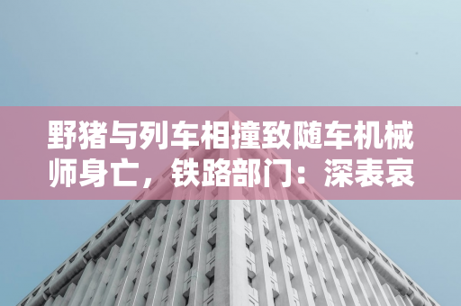 欧盟决定对华电动汽车征收五年反补贴税，中方已对终裁结果提出诉讼