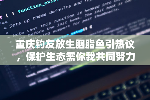 新江湾城五周年庆典：艺术、运动、休闲与亲子的盛宴