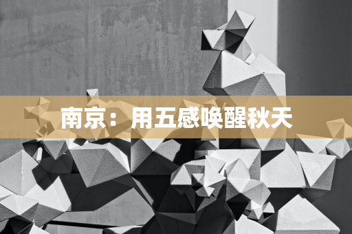 南钢集团荣获 2024 年数据要素×大赛全国第二名，展现中信数字化转型实力