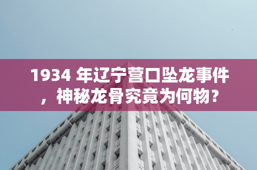 河南省青少年柔道锦标赛落幕 南阳市代表队载誉而归