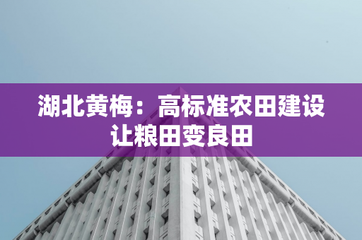 儿童网红现象引发社会热议：是追逐梦想还是过早涉足成人世界？