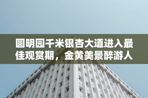 蔡旭哲再任指令长，带领90 后战友出征神舟十九