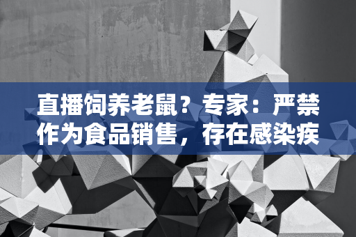 海上风电的奥秘：从制造到送出的绿色能源之旅