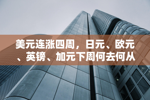 江苏省赛艇队来扬集训备战粤港澳全运会